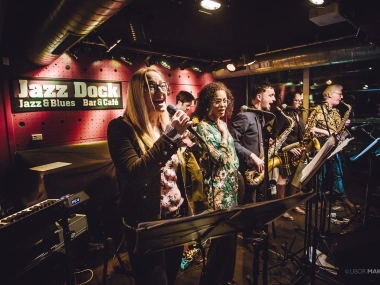 Reelin' In The Years:Tribute to Steely Dan